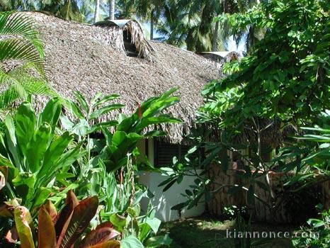 Hotel - Las Terrenas - Republique Dominicaine