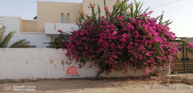  A VENDRE UNE GRANDE MAISON A HOUMT SOUK DJERBA