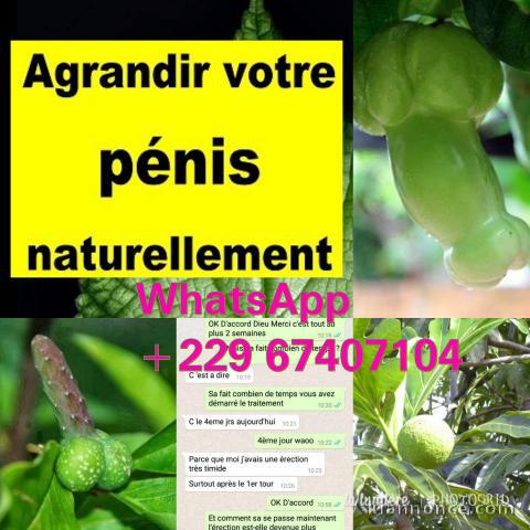 Comment avoir un long et gros pénis : produit gros pénis 