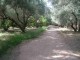 Terrain agricole route de Fes km 9