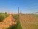 Très belle ferme titrée à 17 km de Marrakech