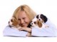 Adorables Chiots Cavalier King Charles Pure Race