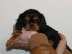 Chiots Cavalier King Charles Spaniel