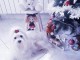 Je donne chiot bichon frisé pour Noël 